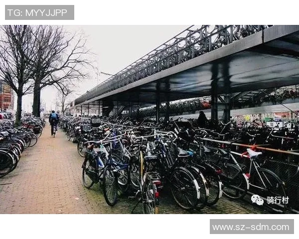 丹麦自行车王国的基础设施建设与健康生活理念的全面推广探索