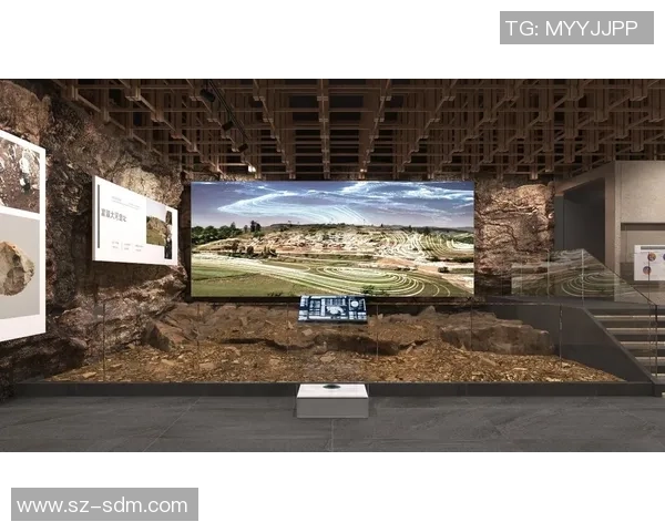 足球战术板的历史变迁与数字化时代的创新应用探讨